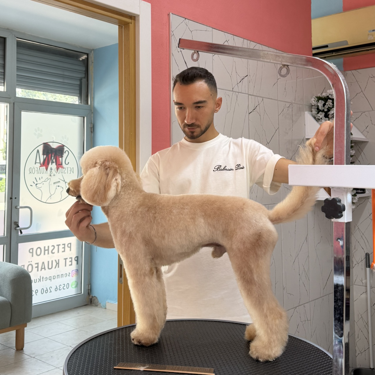 Makas Tıraşı 0-5 KG