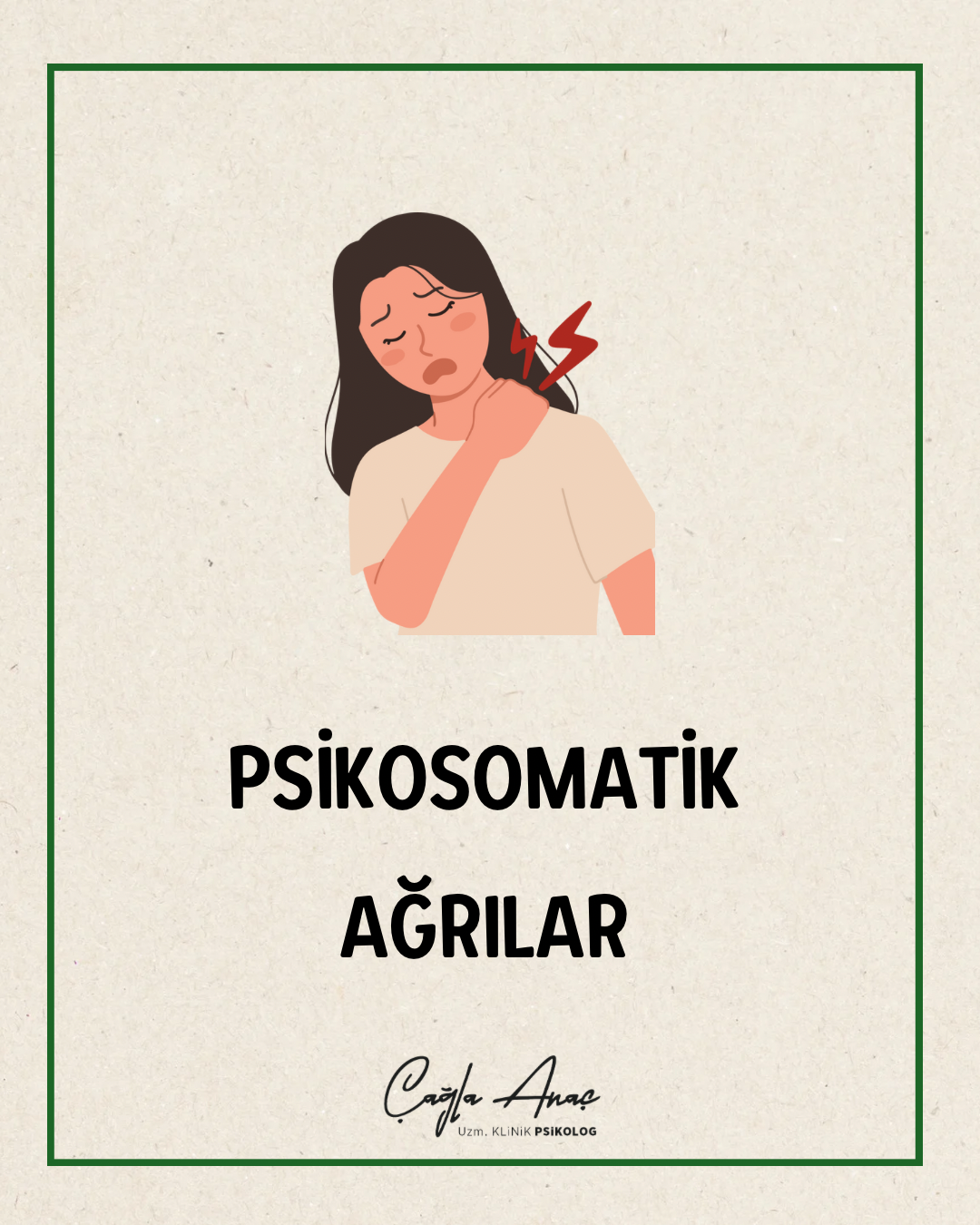 Anaç psk galeri 2