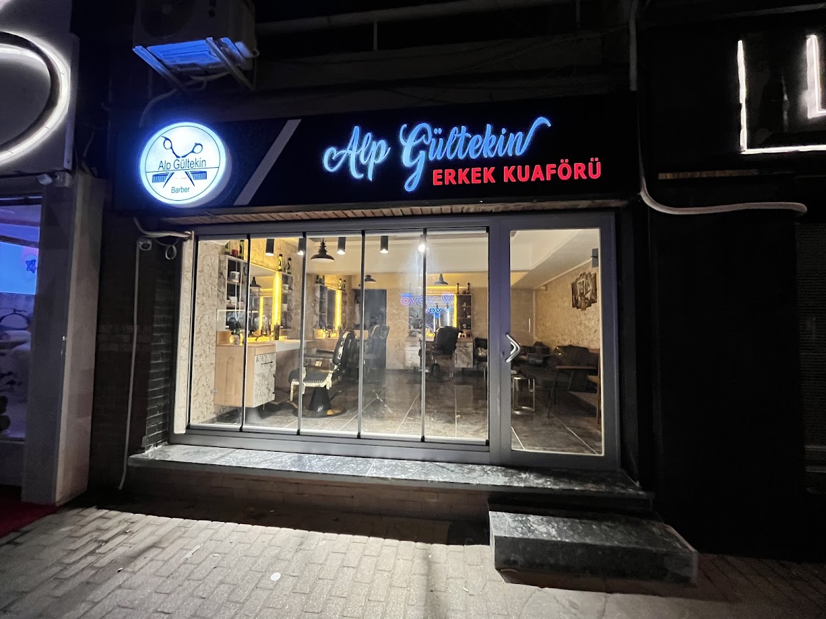 Alp gültekin galeri 1